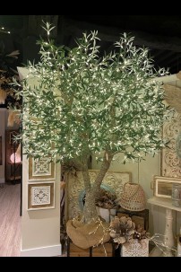 *PRE-ORDER SUMMER 2025* 870 LED 8' OLIVE TREE [391317] 